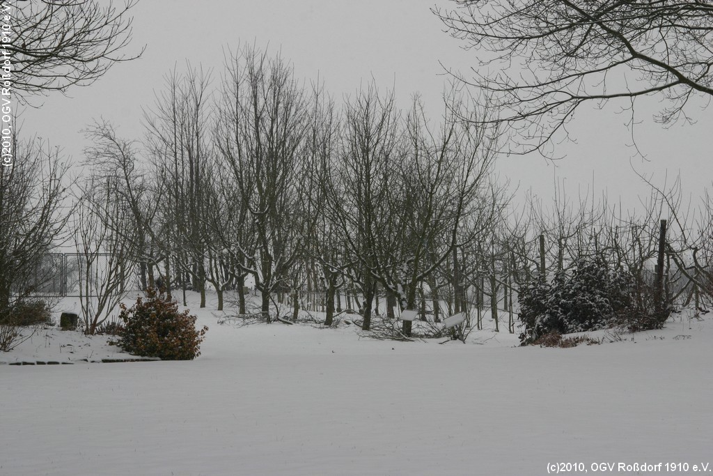 Winterlicher Lehrgarten 2010